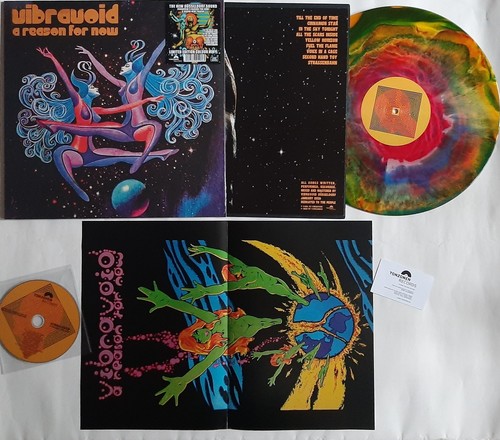 Vibravoid reason for now - reason,
