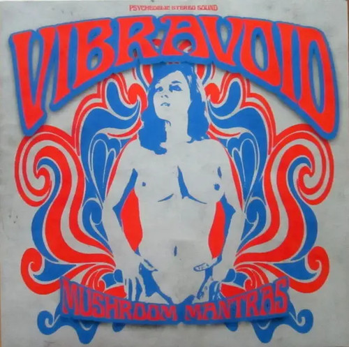 Vibravoid mushroom mantras - vibravoid,