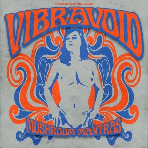 Vibravoid mushroom mantras - vibravoid,