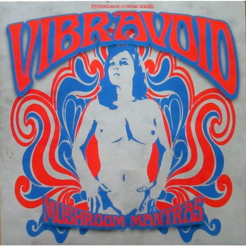 Vibravoid mushroom mantras - vibravoid,
